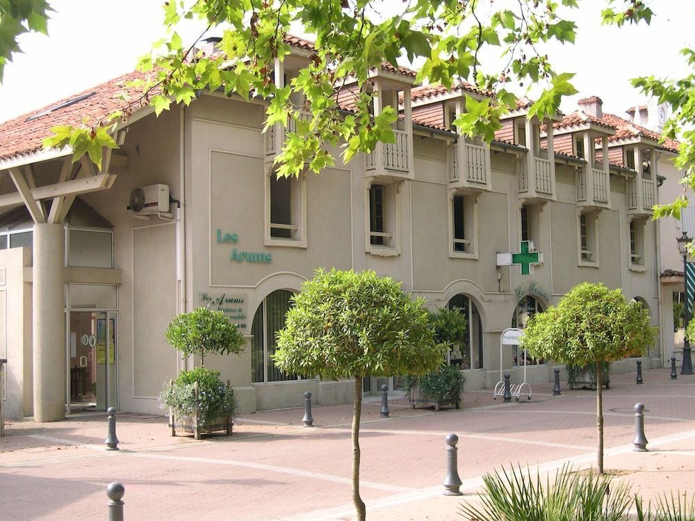 Les Arums 1