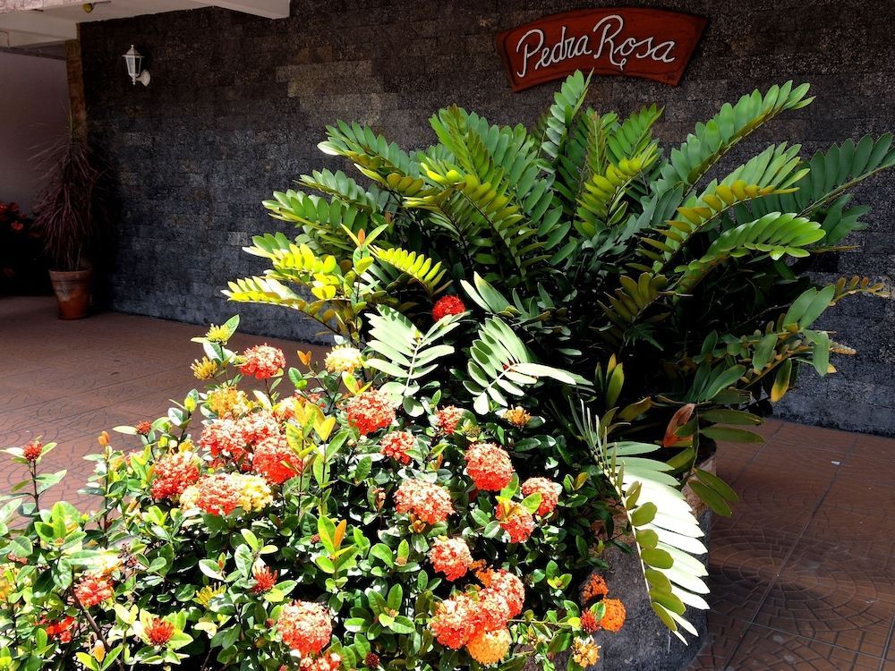 Pousada Pedra Rosa 2