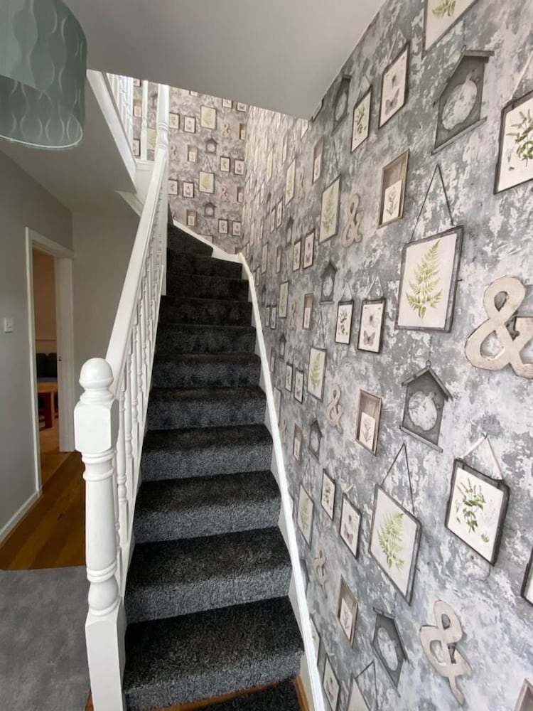 Belfast Connswater Town House 1
