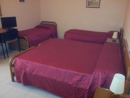 Hotel Airone 2