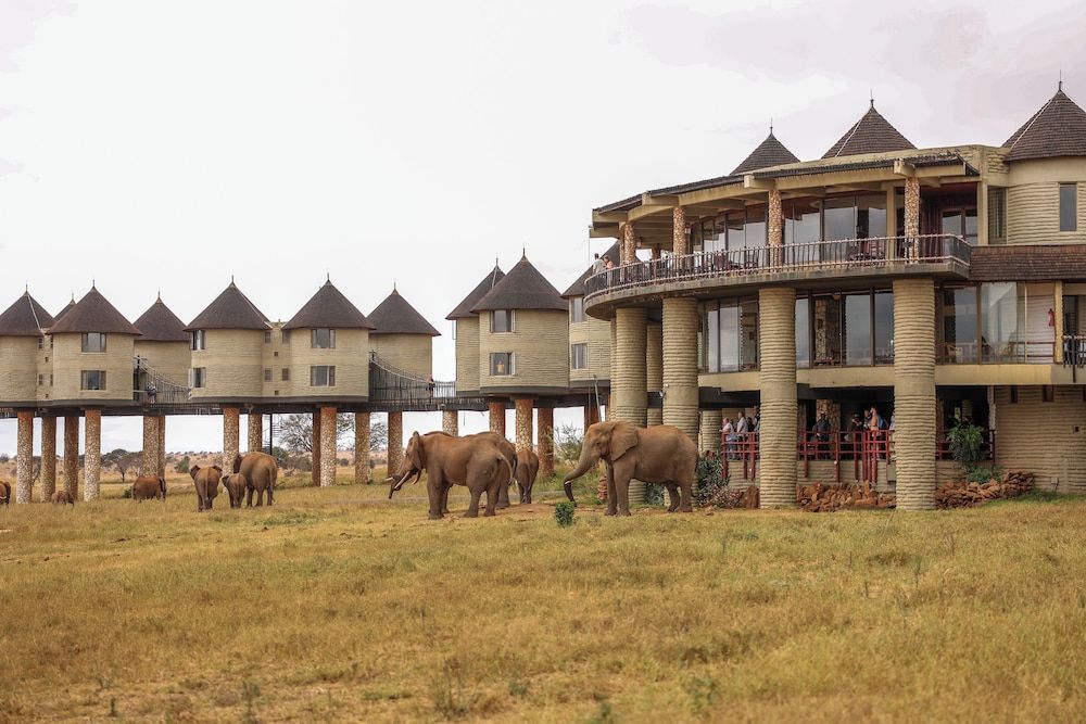 Salt Lick Safari Lodge 1