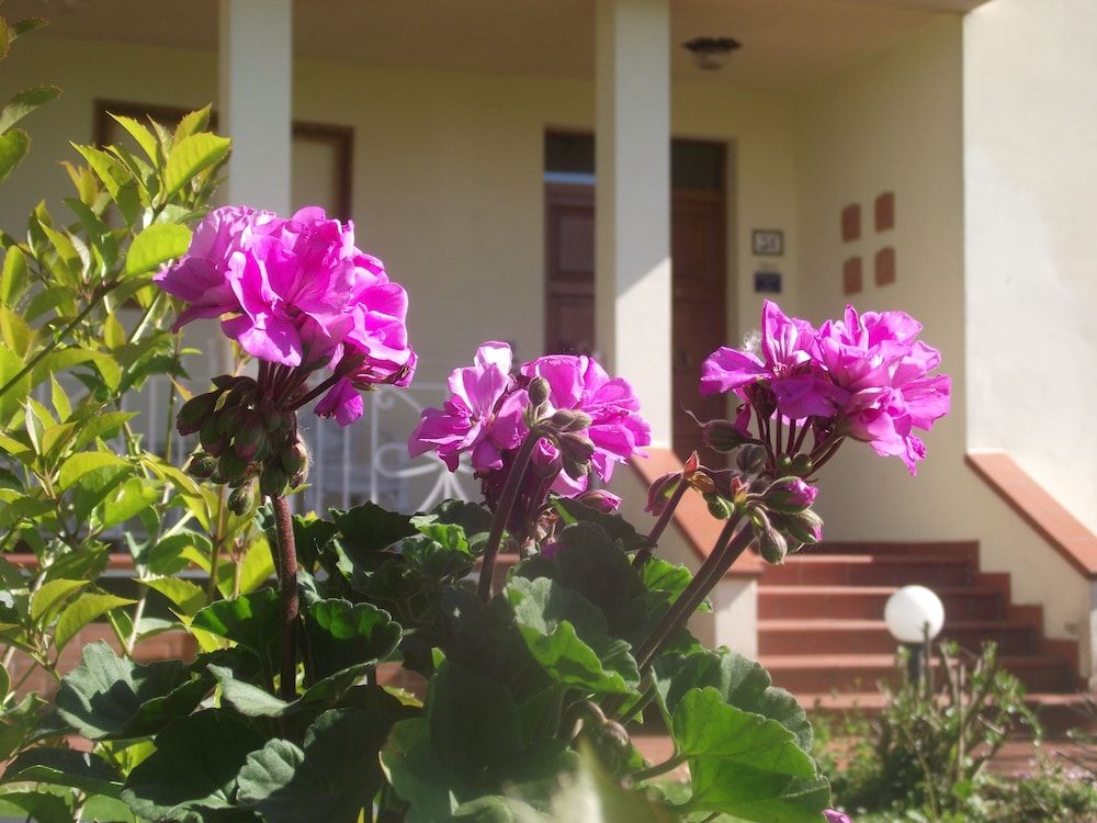 B&B Villa Sabrina 1