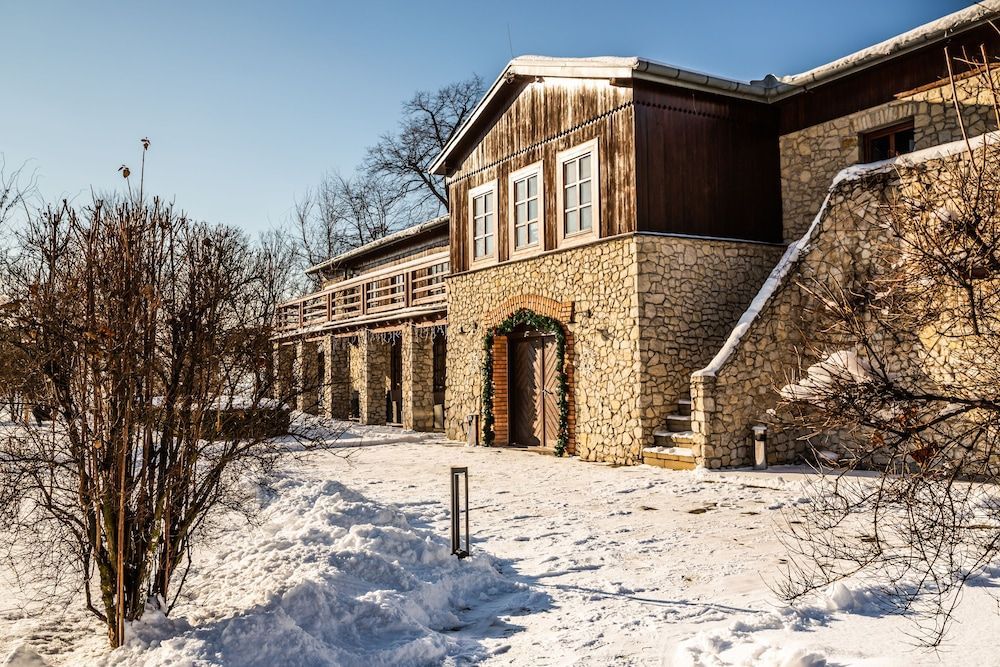 Dwór w Tomaszowicach 2