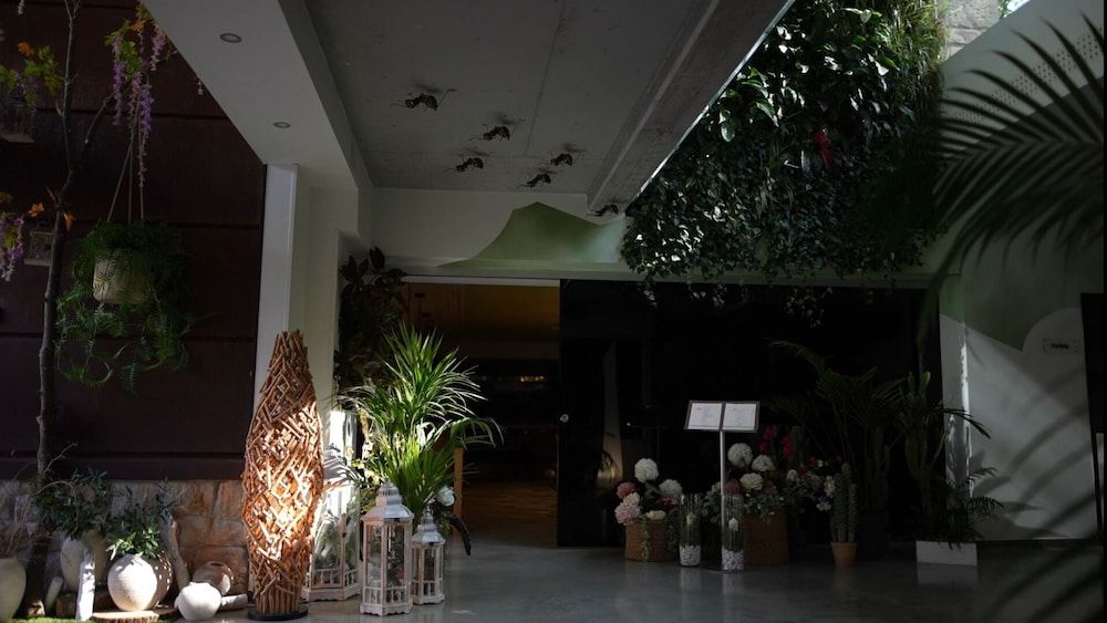 Hotel Cuevas - Adults Only 2