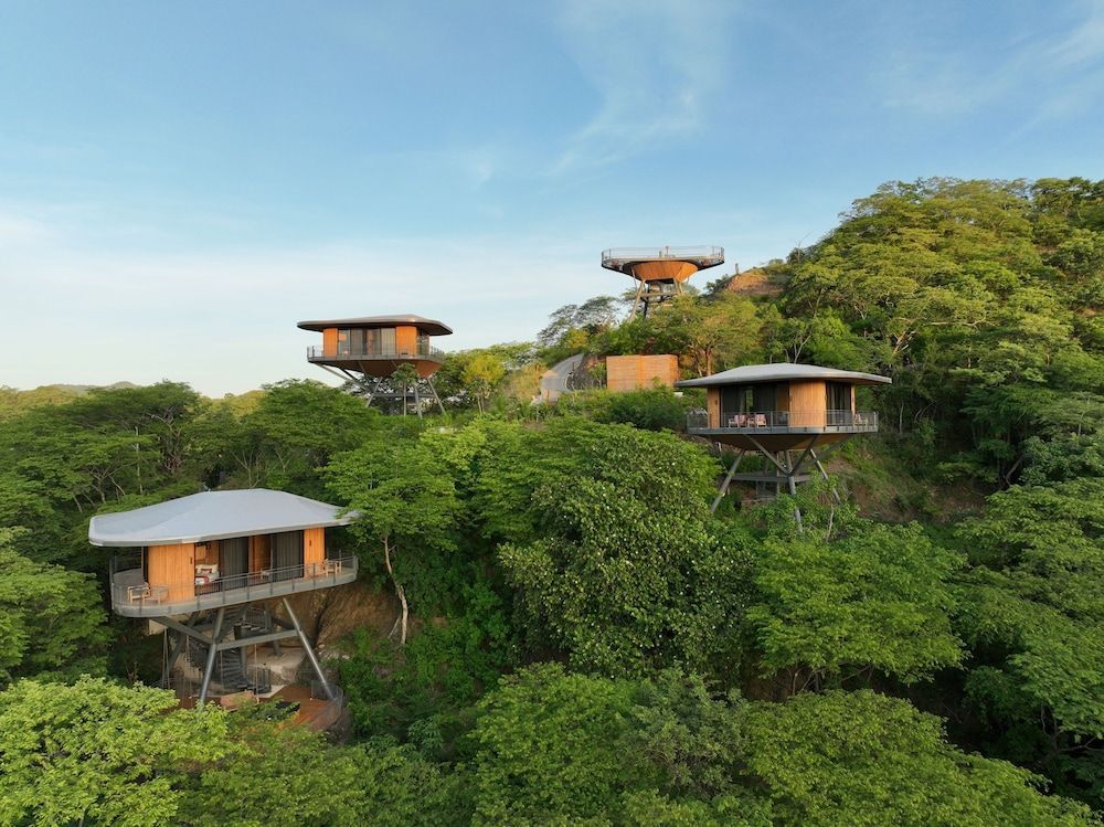 Suitree Experience Hotel 1