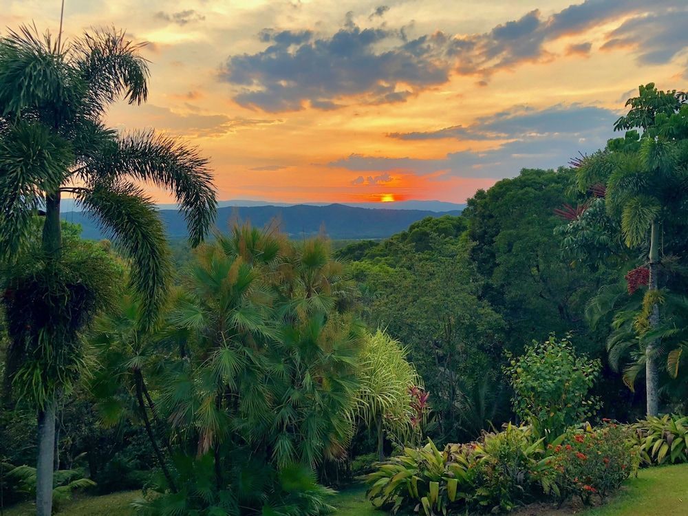Daintree Manor B&B 1