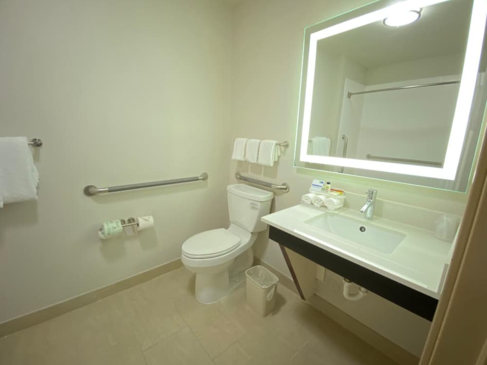 Holiday Inn Express & Suites GADSDEN W-NEAR ATTALLA by IHG 2
