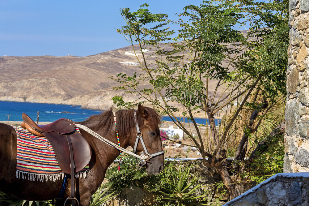 Anamar Mykonos 1