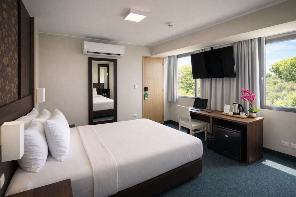 Palmetto Hotel Business San Miguel 1