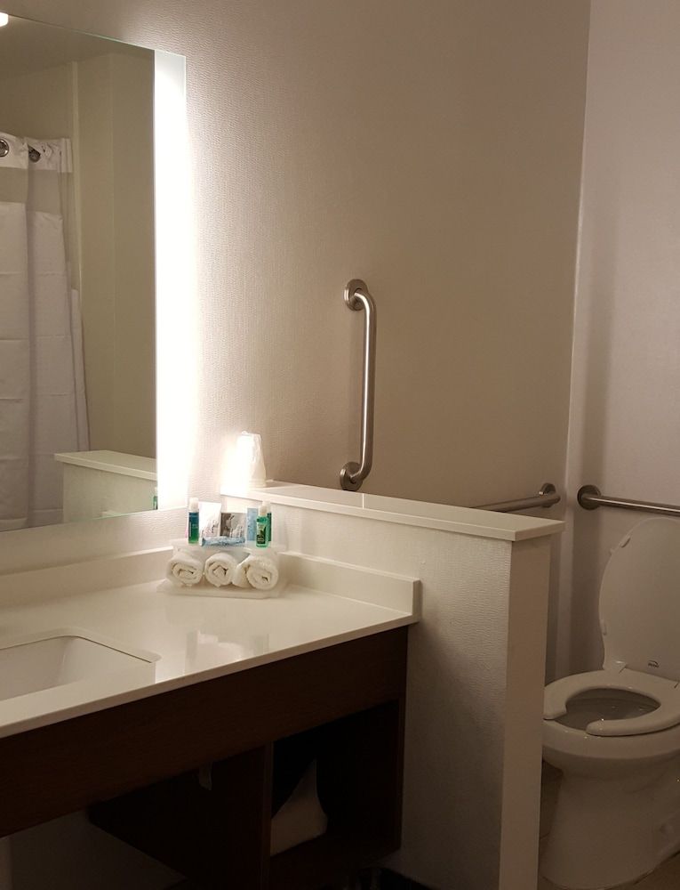 Holiday Inn Express & Suites TOLEDO WEST by IHG 2
