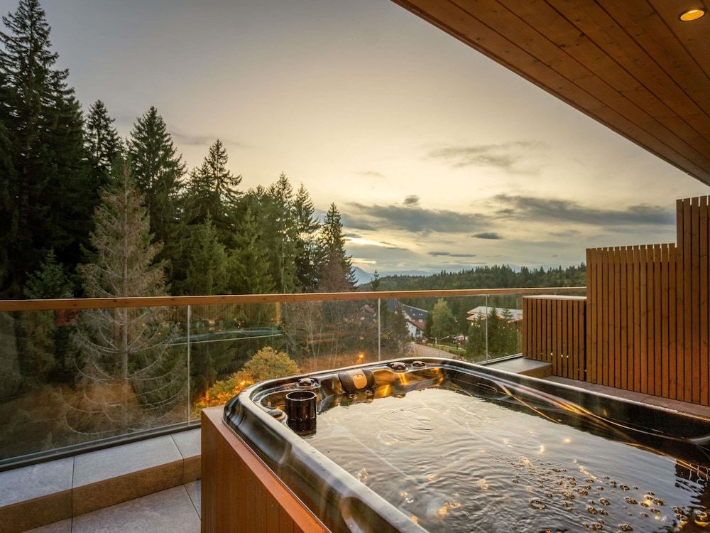 Swissôtel Poiana Brasov 2