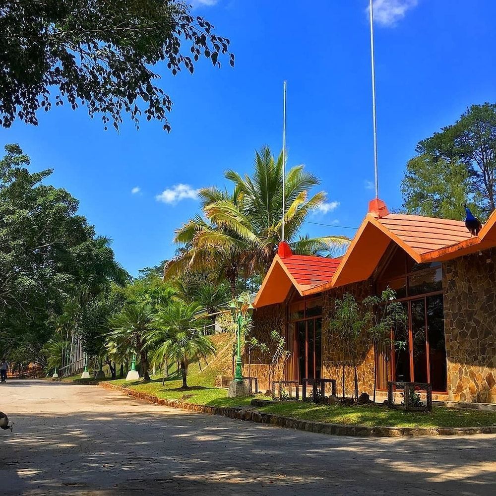 Hotel Entre Pinos 1