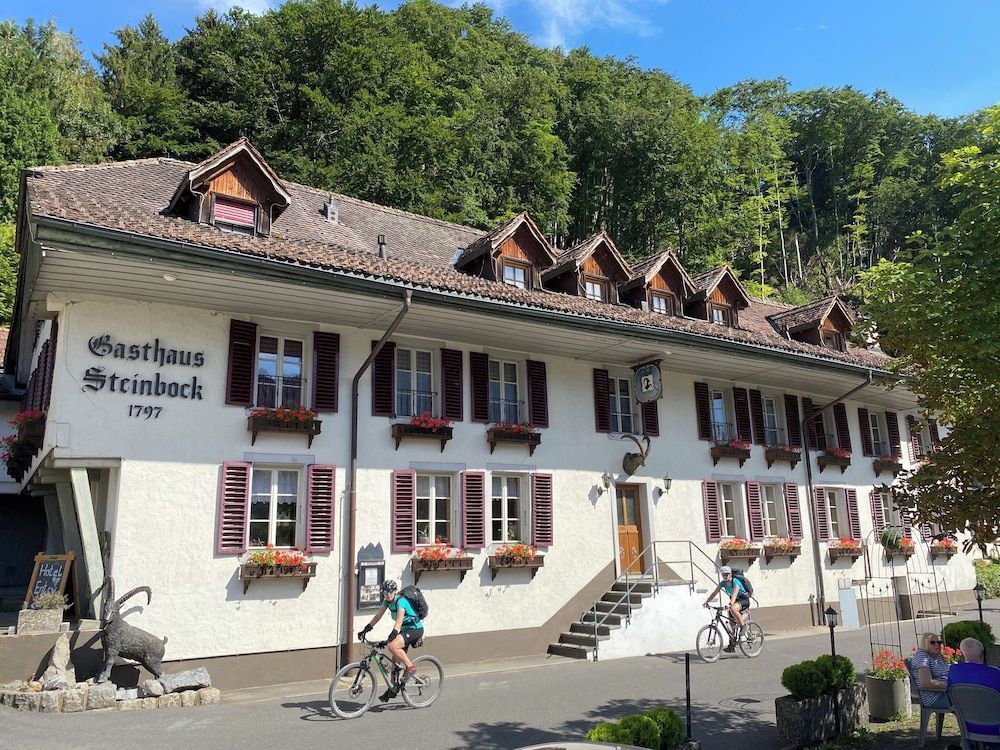 Historic Hotel Steinbock 1