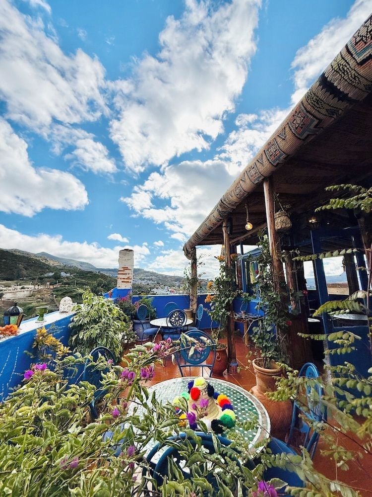 Casa Blue Star 1