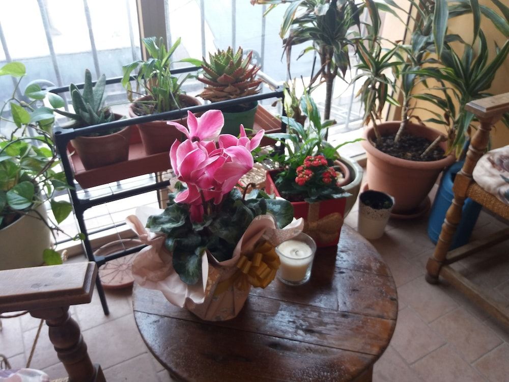 "LA MAISON DEL CORSO" Hospitality 1