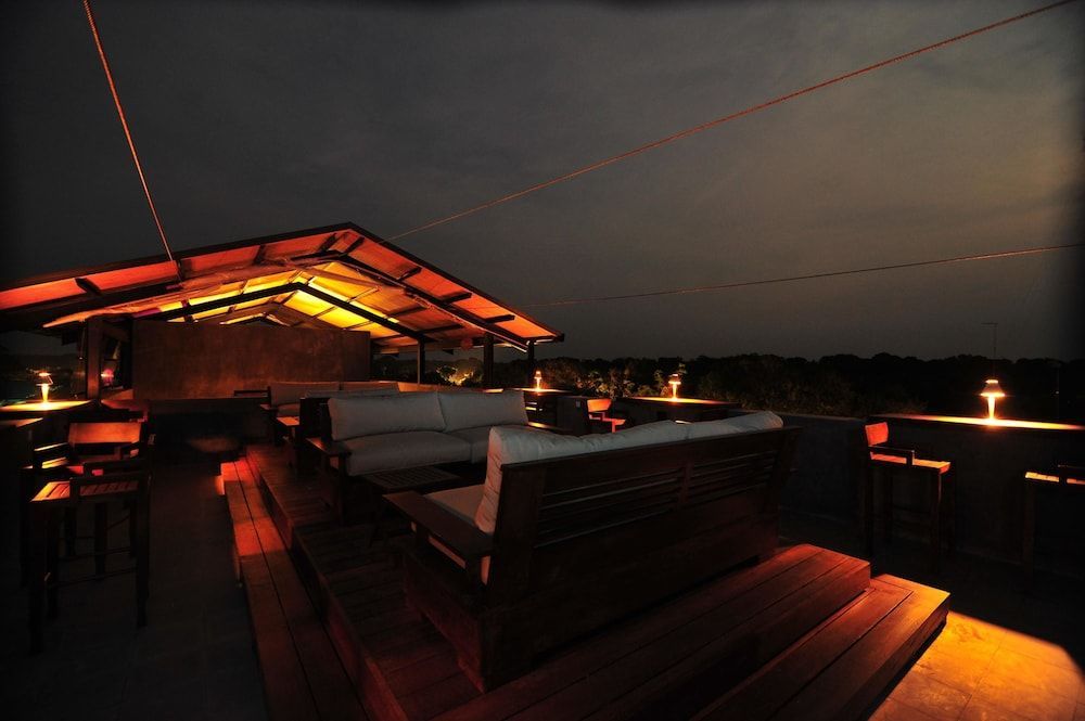 Cinnamon Wild Yala 2