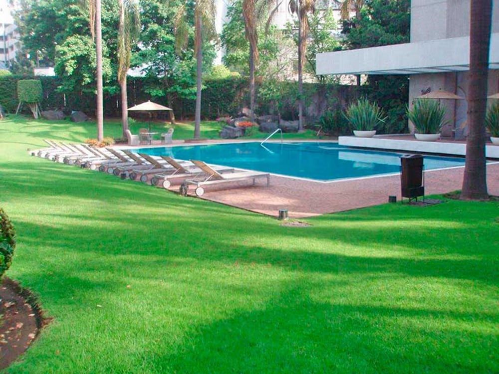 Royal Pedregal 1