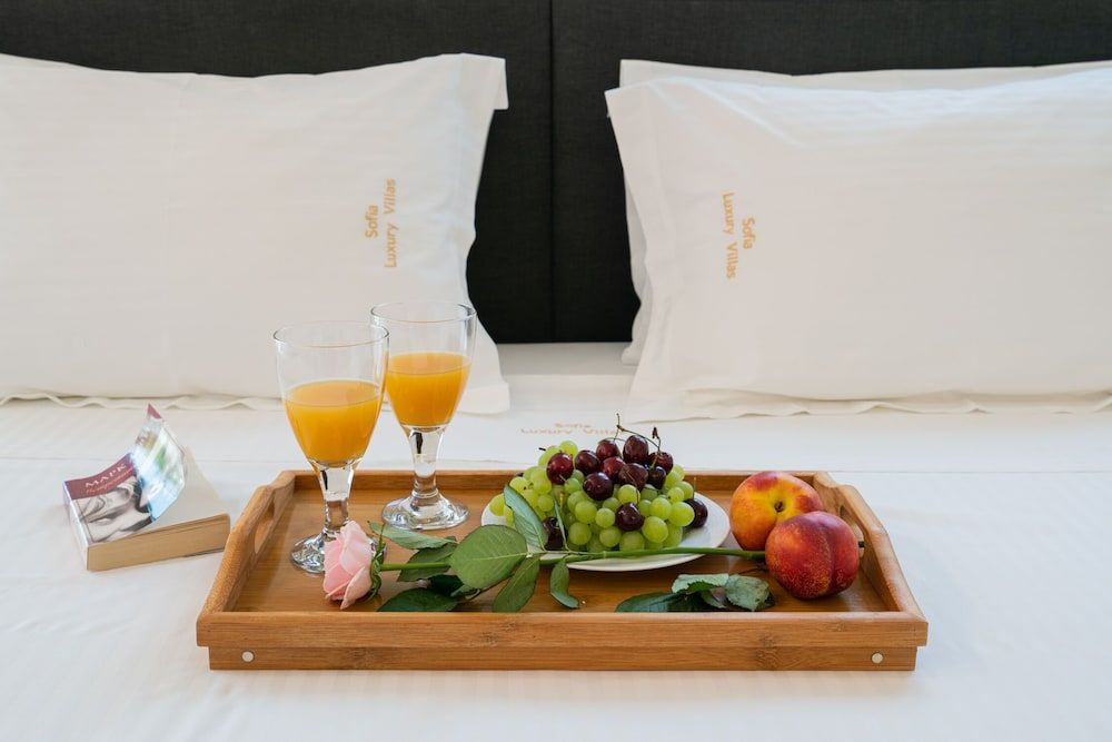 Sofia Luxury Villas 2