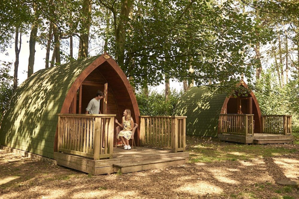 Pinewood Camping Pods - At Port Lympne Reserve 1