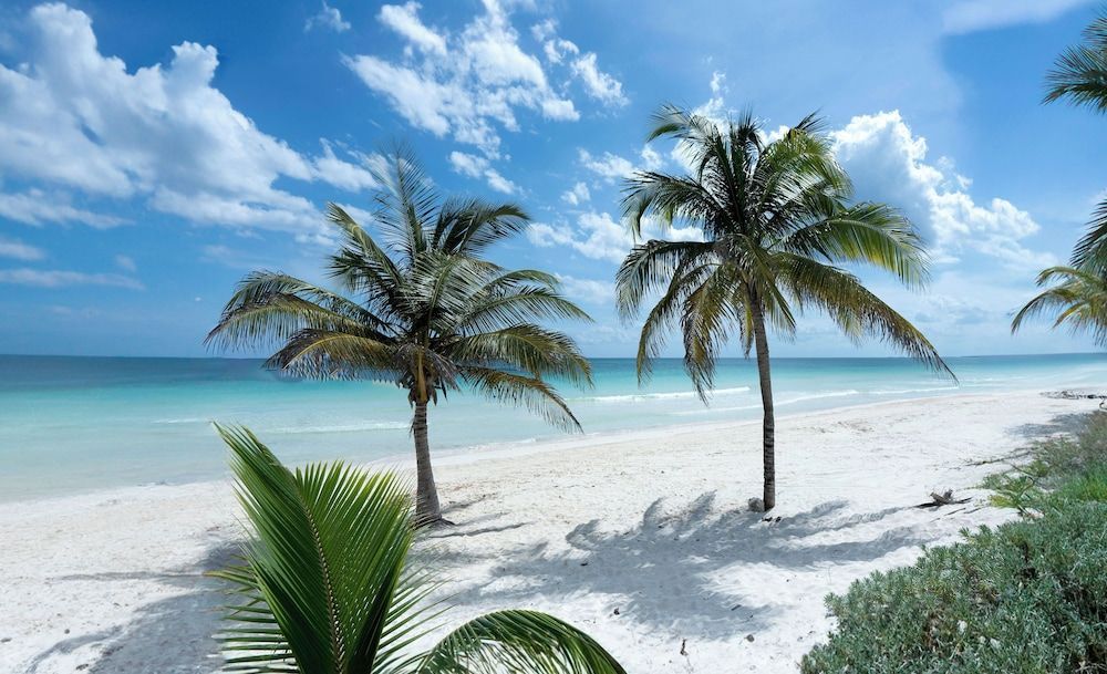 Hotel Pocna Tulum 1