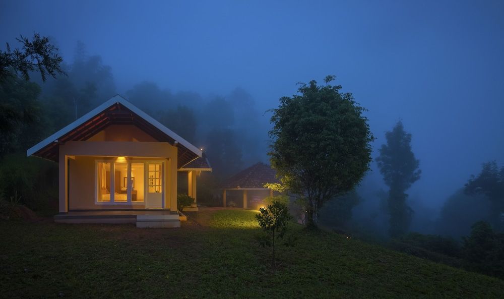 After the Rains - Rainforest Lodge, Wayanad 2