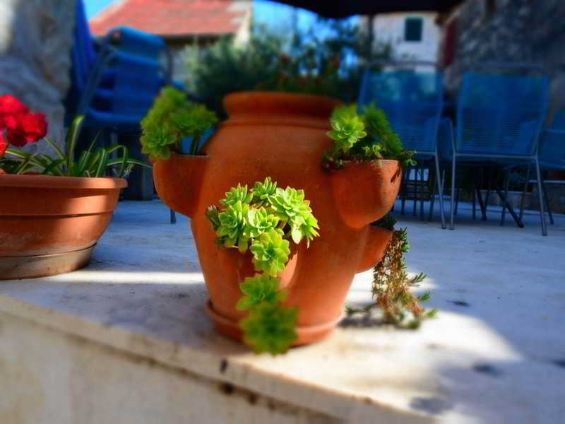 Apartmani Slavica 2