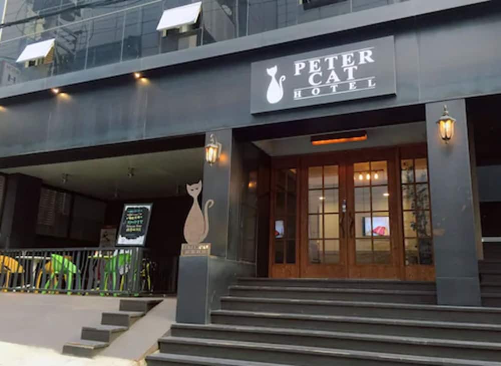 Petercat Hotel Shinchon 1