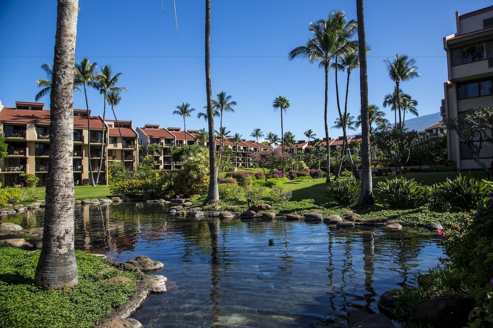 Kamaole Sands 8-402 1