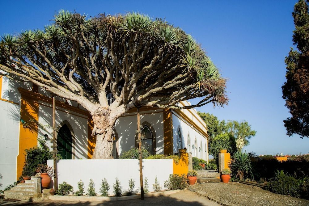 Casa do Castelo 1