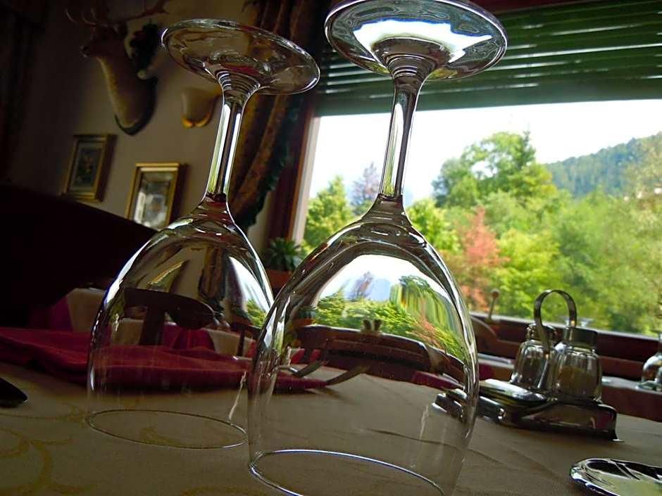 Hotel Zoldana 1