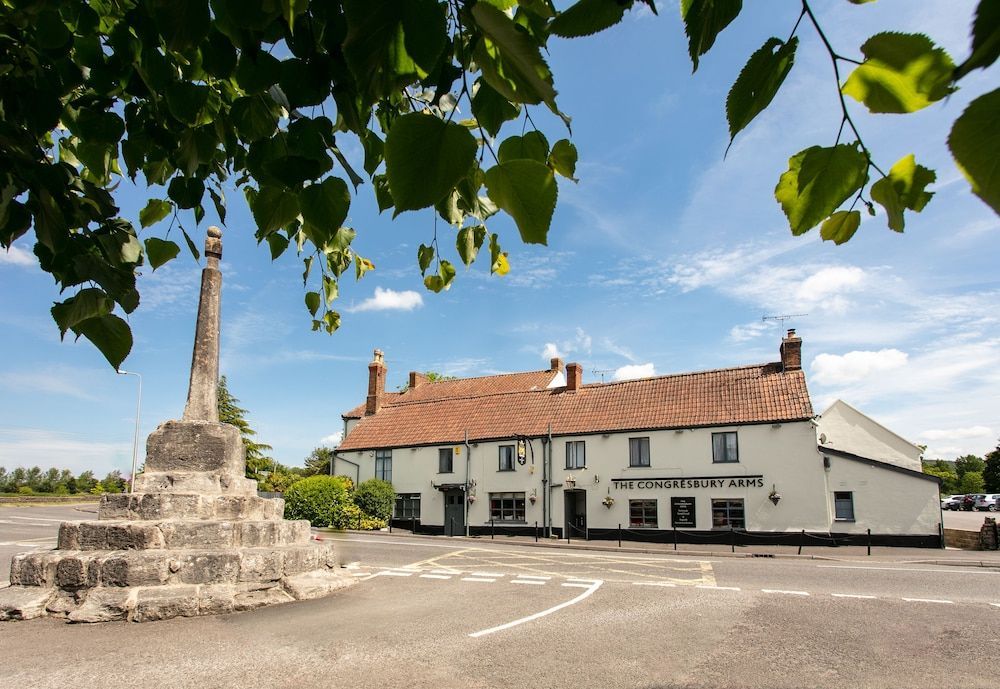 The Congresbury Arms 1