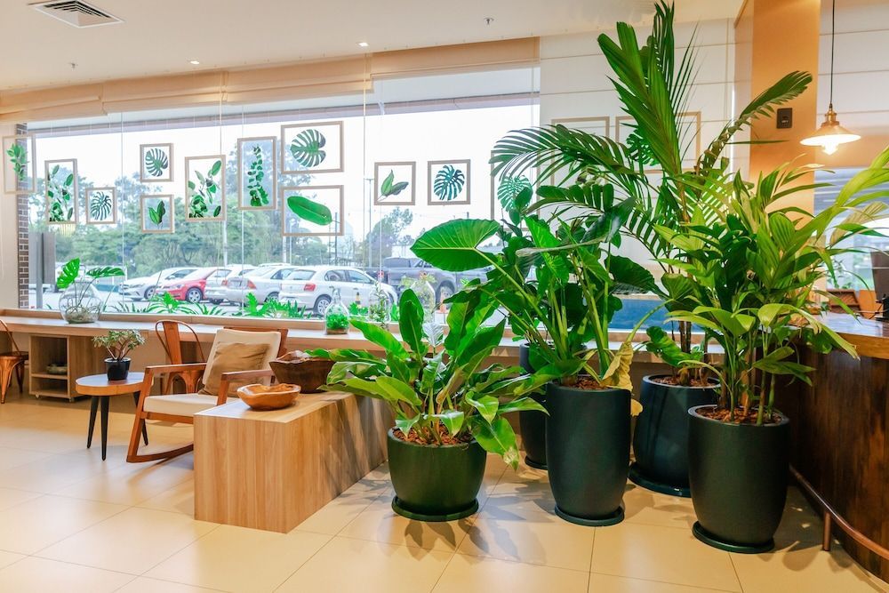ibis Styles Curitiba Aeroporto 2