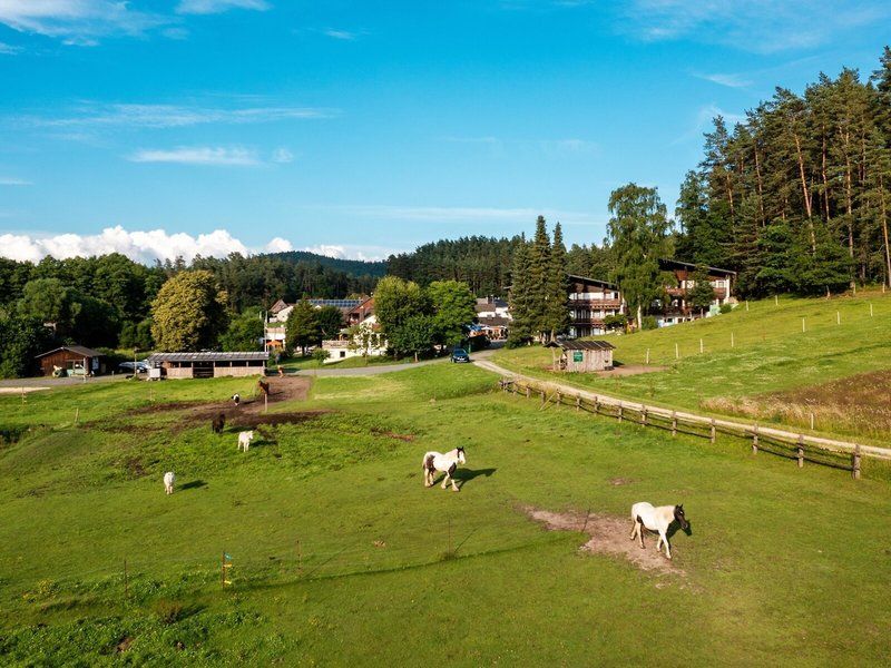Waldhotel Bächlein 2