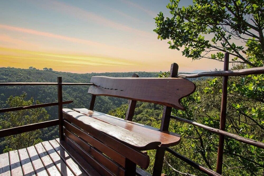 Teniqua Treetops 1
