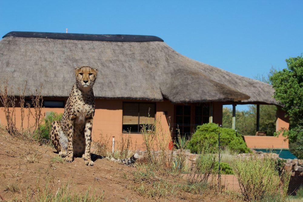 Babson House at Cheetah Conservation Fund 1