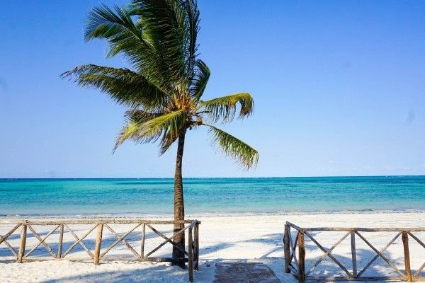 Hôtel Club Framissima Paje Palms Beach Resort Sup 2