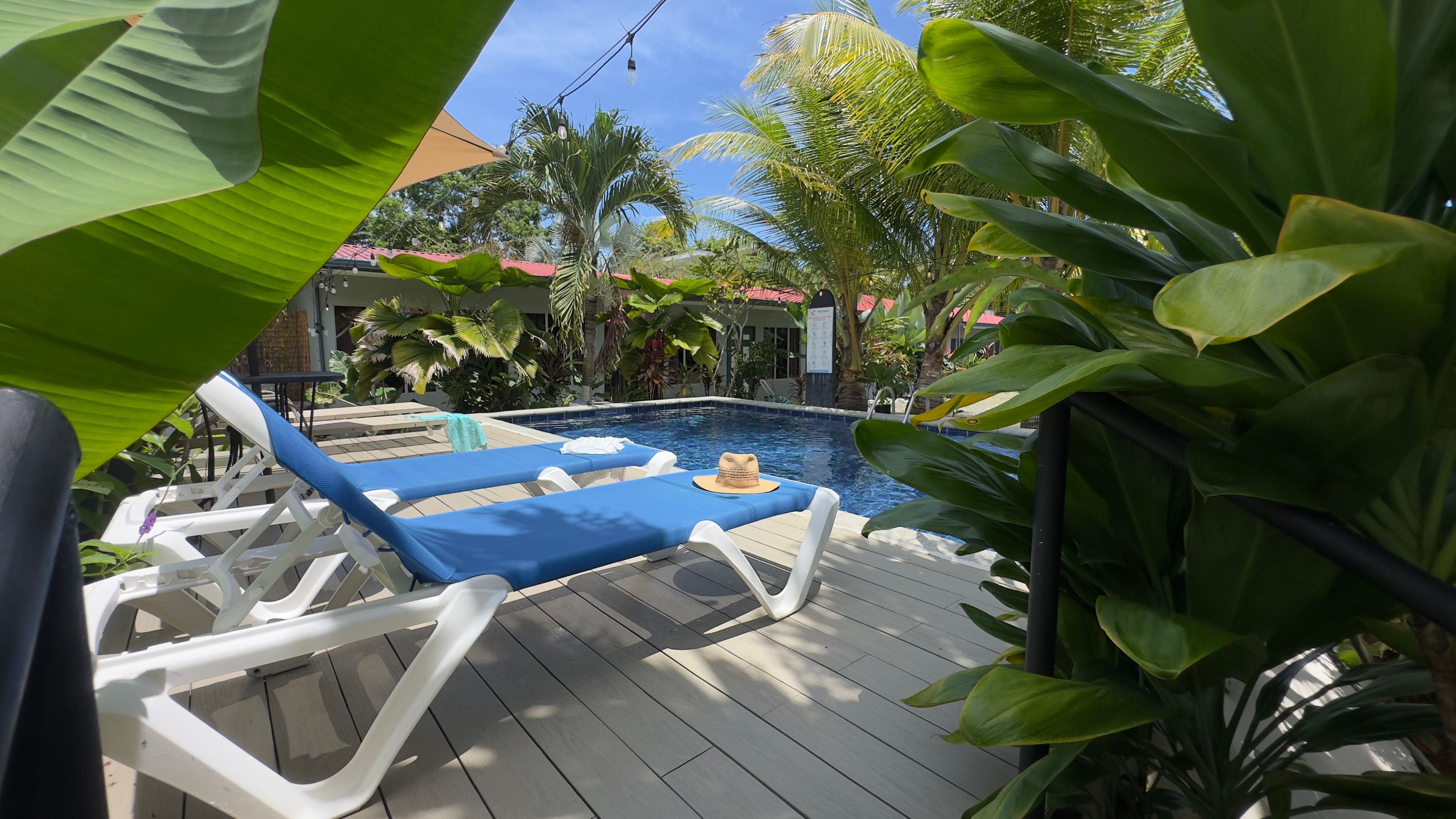 Rooms & Pool Macaws 2