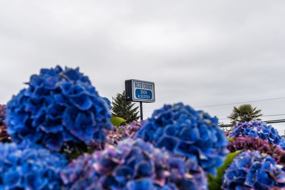 Blue Coast Inn & Suites 1