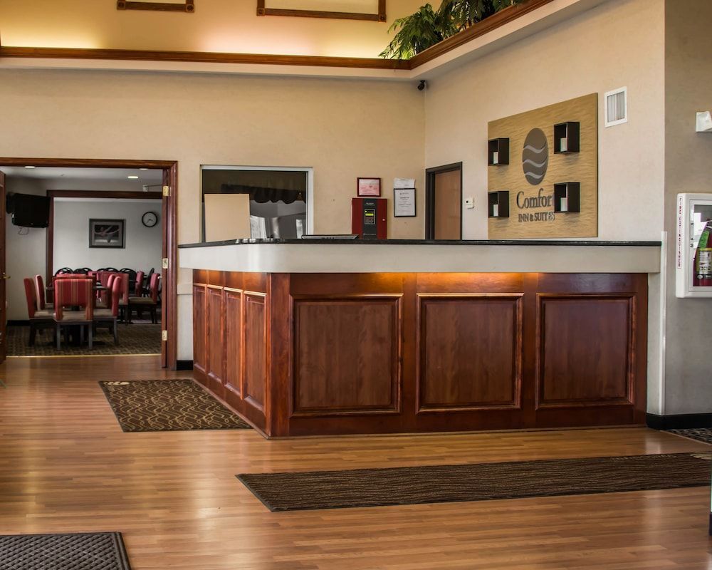 Comfort Inn & Suites Dimondale - Lansing 2