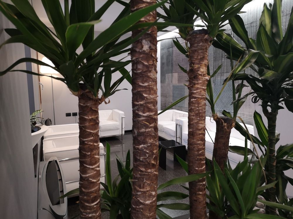 Hotel Daunia 2