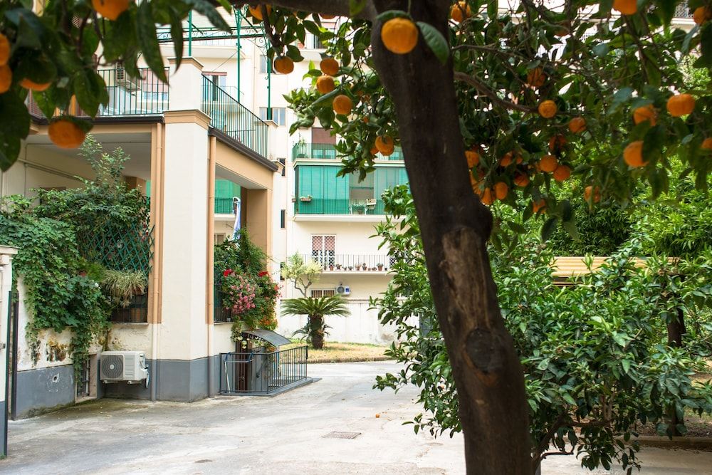 B&B Il Nido 1