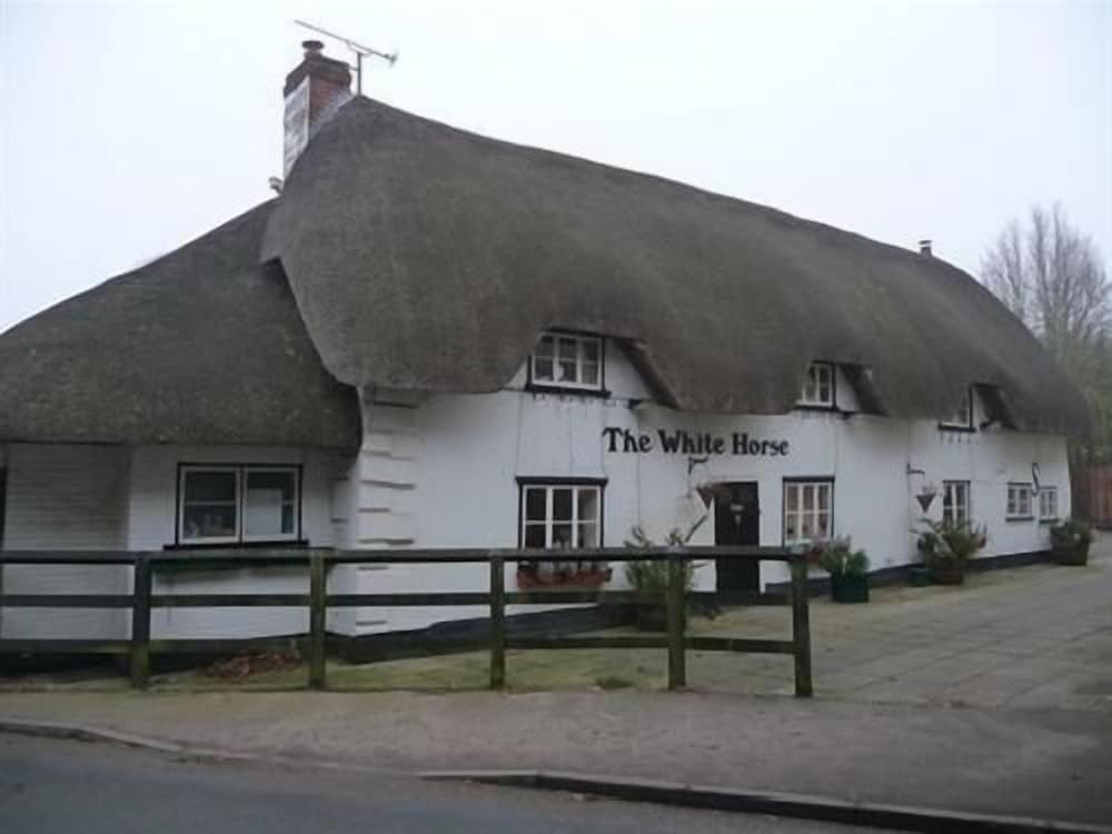 The White Horse 1