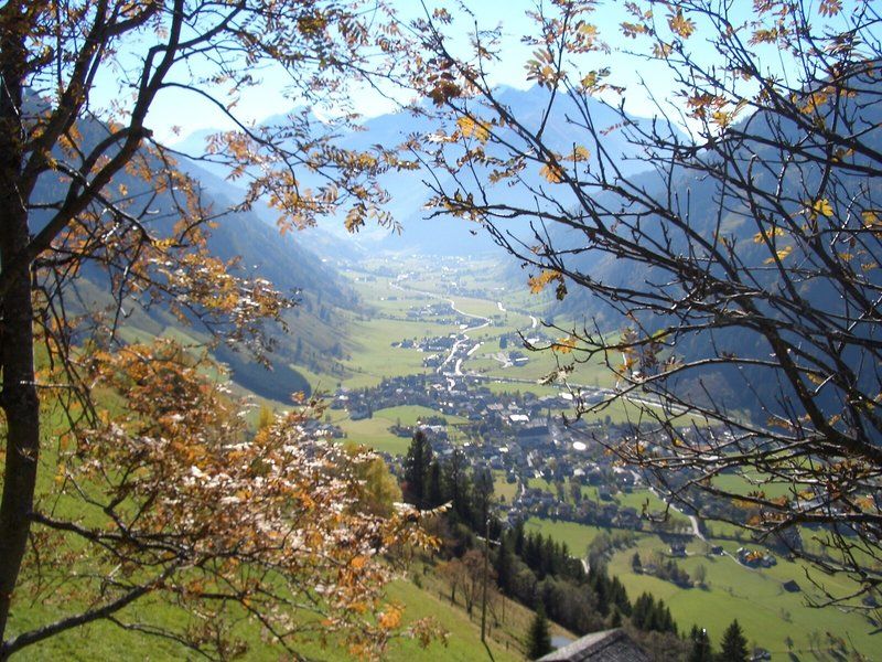 Hotel - Restaurant Platzwirt 2