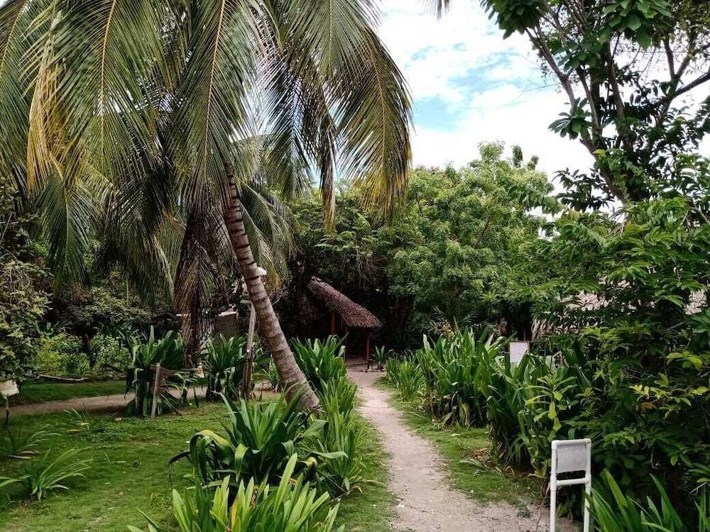 Eco Hotel Las Palmeras 2