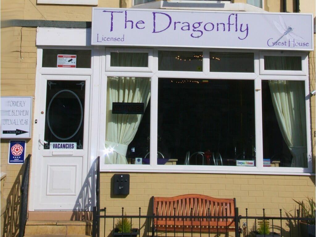 The Dragonfly 2