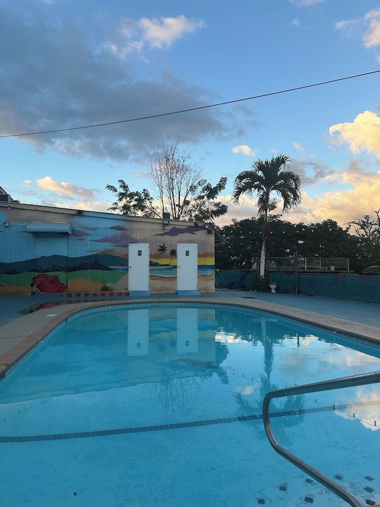 Mi Tierra 1