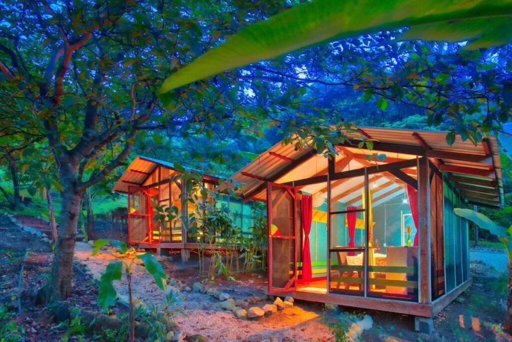 Jungles Edge Hotel, Jiu Jitsu, Muay Thai Retreat Center 2