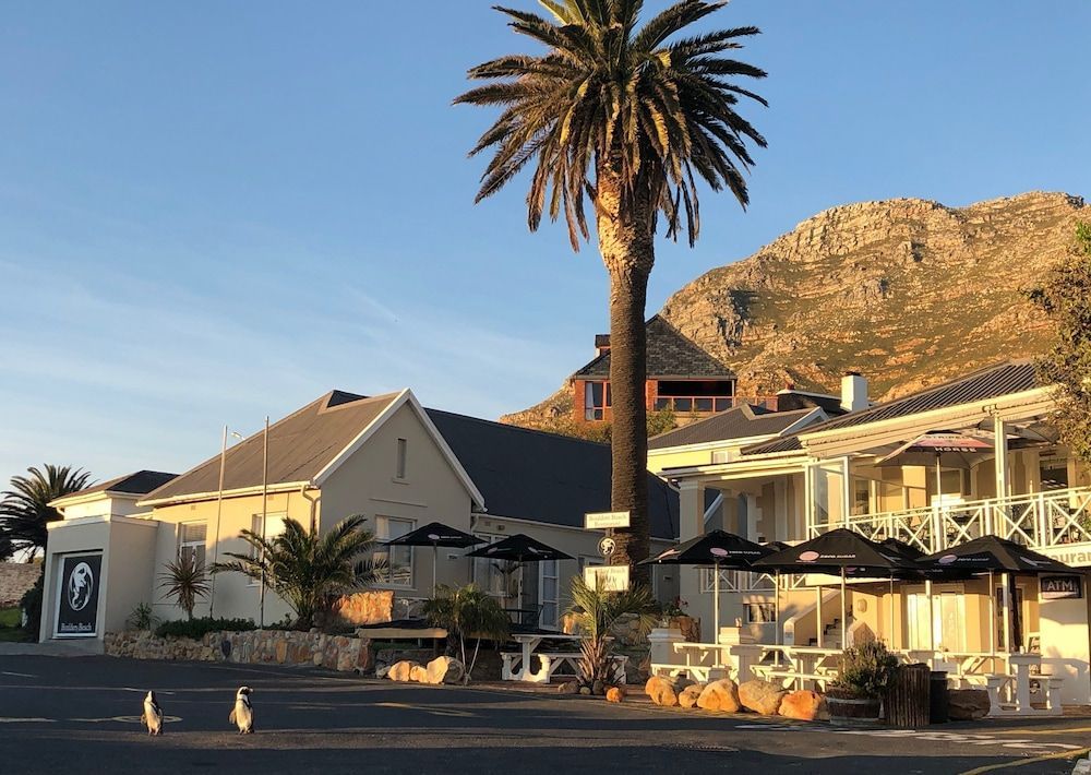 Boulders Beach Hotel and Restaurant 1
