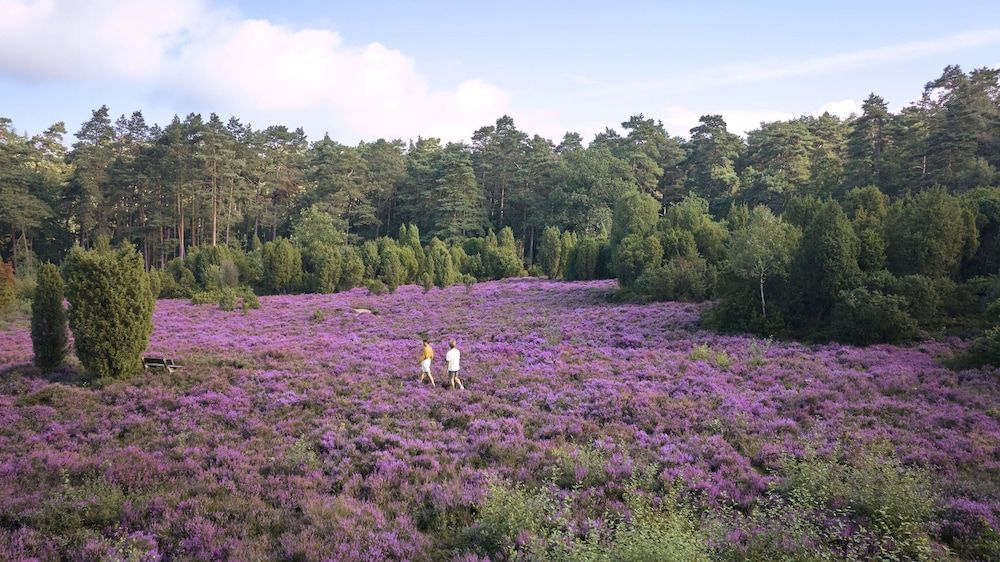 Hotel Bispinger Heide by Center Parcs 1