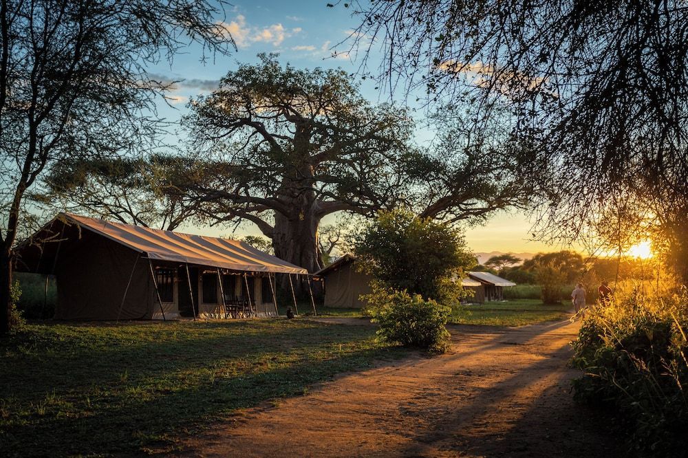 Baobab Tented Camp 1